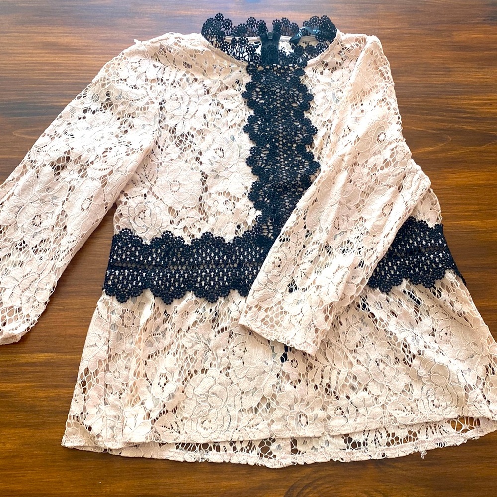 Beautiful Zara pink and black lace top with back zipper. Perfect for Spring XS
